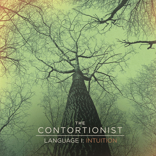 The Contortionist : Language I: Intuition